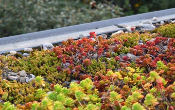 the cost of Kingskettle green roof installation