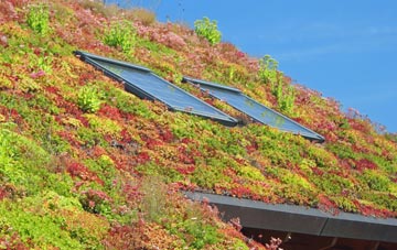 Kingskettle living roof systems