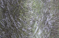 Kingskettle fibreglass roof work