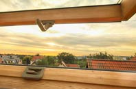 rated Kingskettle roof window companies